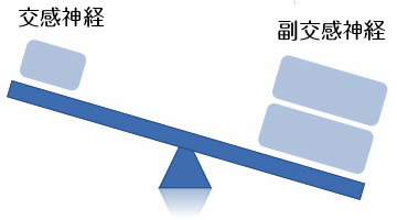 交感神経と副交感神経のバランスを示すシーソーのイラスト。副交感神経が優位でシーソーが傾いている状態を表現