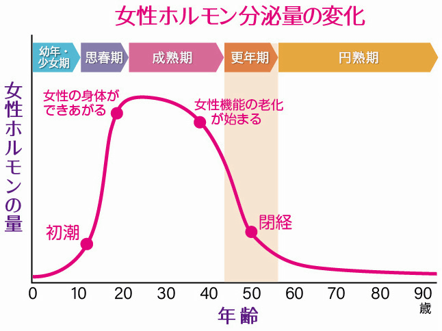 女性ホルモン分泌量の変化を示すグラフ。幼少期から更年期、円熟期までの分泌量の推移を図解