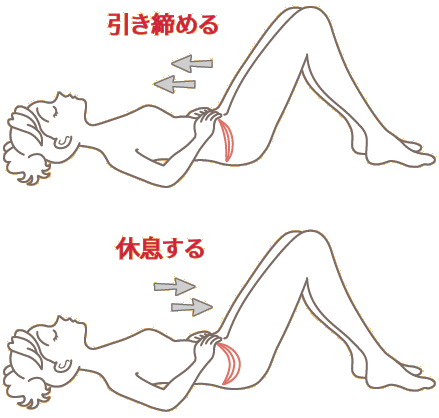仰向け姿勢で骨盤底筋トレーニングのイメージを示すイラスト。引き締めとリラックス動作を視覚的に表現