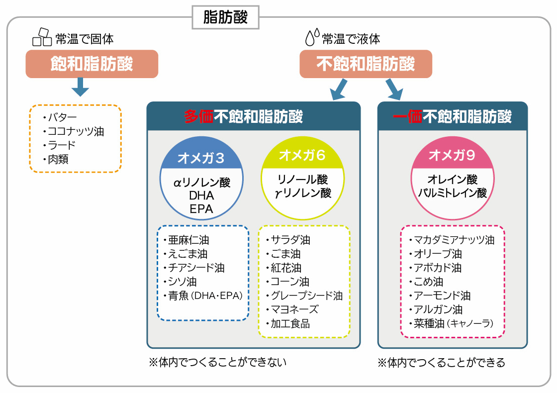 飽和脂肪酸と不飽和脂肪酸
